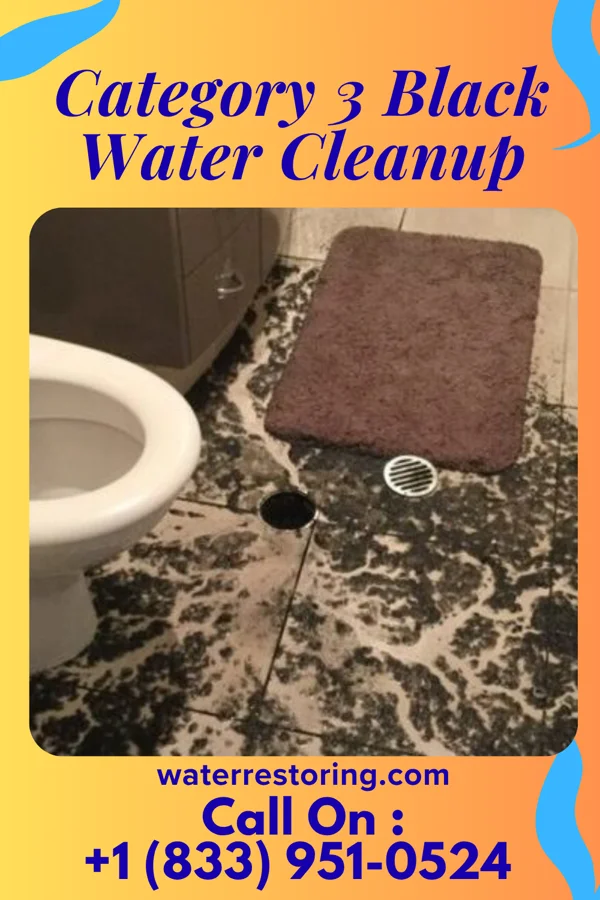 Category 3 Black Water Cleanup in Assumption, IL