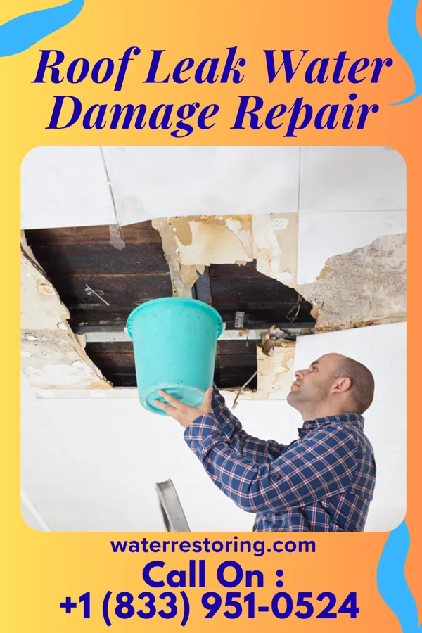 Roof Leak Water Damage Repair in Assumption, IL