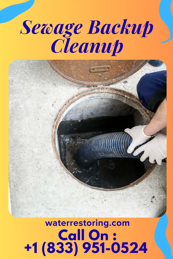 Sewage Backup Cleanup in Assumption, IL